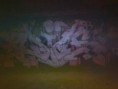 /album/fotogaleria-graffitis/a946684912671-jpg/
